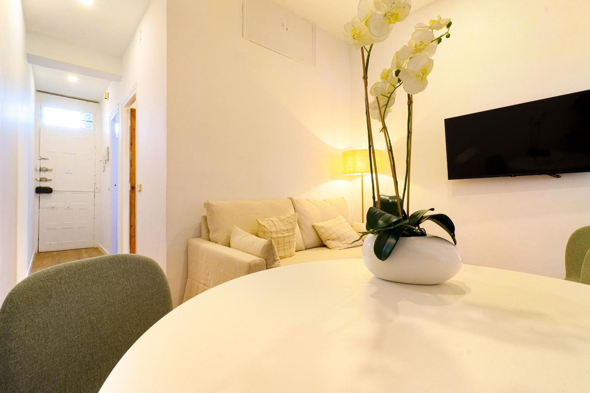 Apartament Chiclavapies Center
